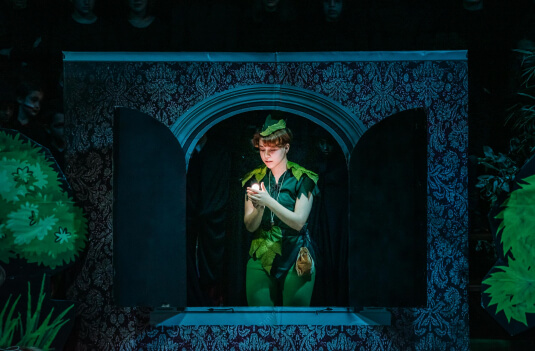 Imagem de Capa do Evento Peter Pan - o Musical