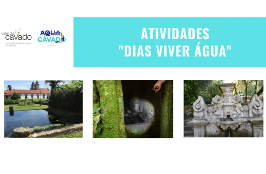 Imagem de Capa do Evento Dias Viver a Água