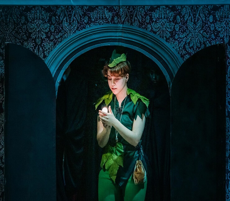 Imagem de Capa do Evento Peter Pan - O Musical