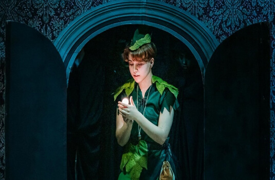 Imagem de Capa do Evento Peter Pan - O Musical