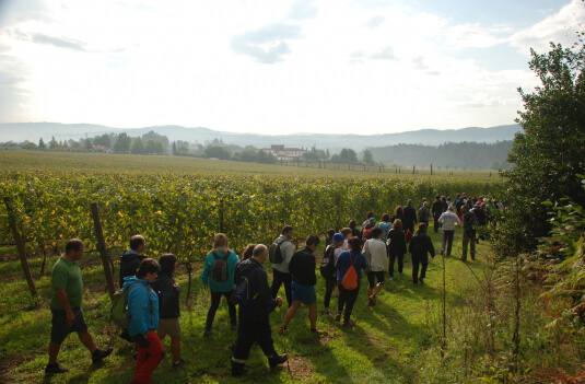 Imagem de Capa do Evento Rota Criativa do Vinho e da Vinha