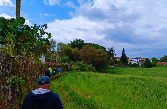 Imagem de Capa do Evento Caminhar para conhecer Barcelos – Pelos trilhos do monte de maio às terras de Teotónio da Fonseca