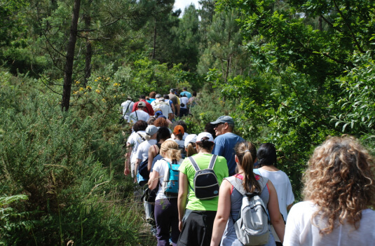 Imagem de Capa do Evento Caminhar para conhecer Barcelos - Trilho dos Mosteiros Beneditinos