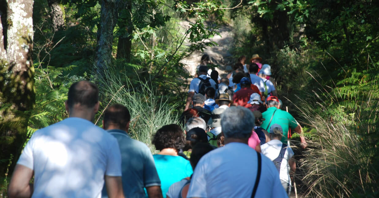Imagem de Capa do Evento Caminhar para conhecer Barcelos | Pelos trilhos do Caminho de Fátima