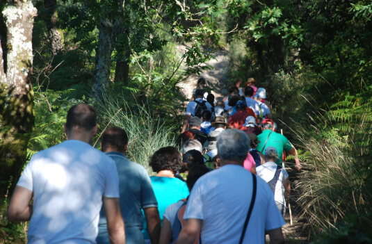 Imagem de Capa do Evento Caminhar para conhecer Barcelos | Pelos trilhos do Caminho de Fátima