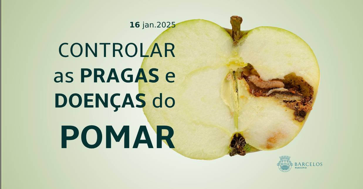 Imagem de Capa do Evento Formação 