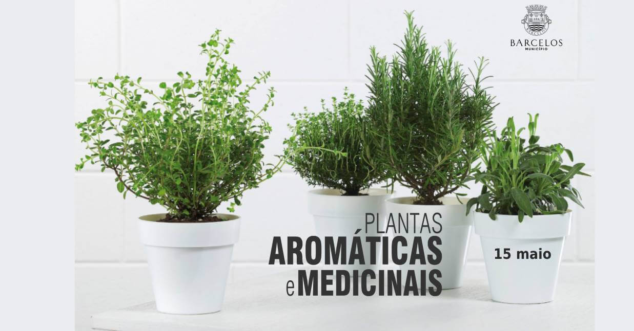 Imagem de Capa do Evento Plantas Aromáticas e Medicinais