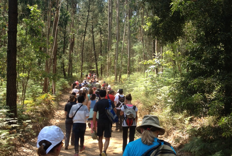 Imagem de Capa do Evento Pelos trilhos do monte de Airó