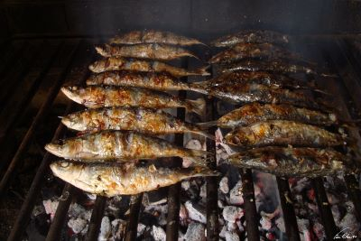 Imagem de Capa do Evento Sardinhada do Alívio 