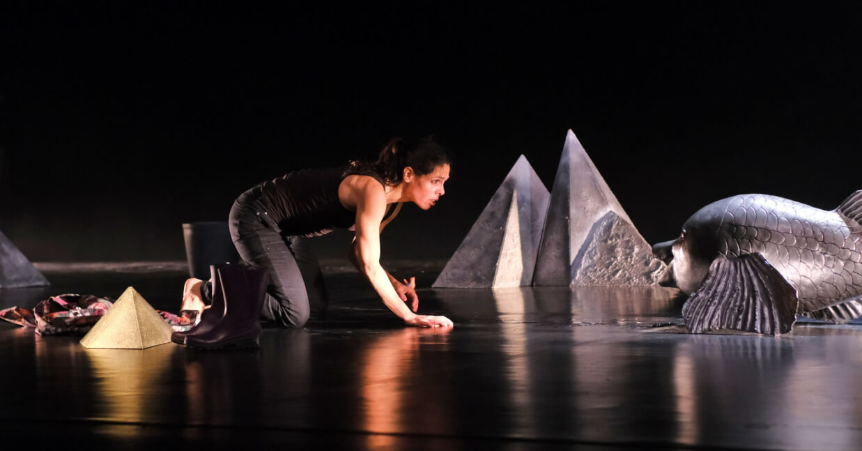 Imagem de Capa do Evento A Flor e o Peixe - o Silêncio de Saramago + conversa