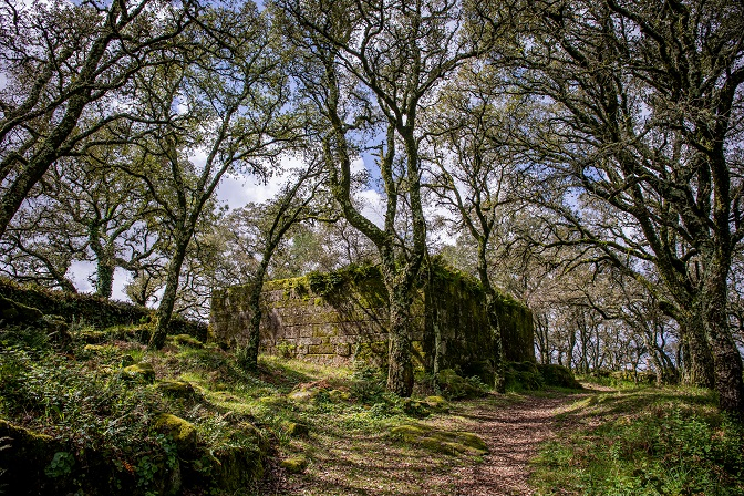 Imagem de Capa do Evento Visita às ruínas do Castelo de Faria e Estação Arqueológica subjacente 
