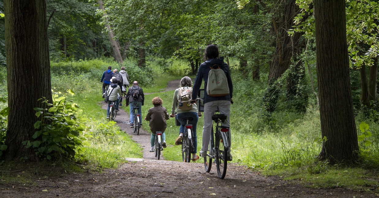 Imagem de Capa do Evento Passeio de bicicleta elétrica | Cicloturismo