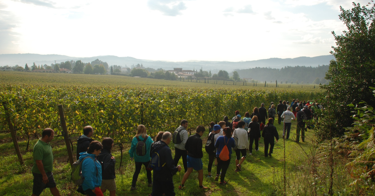 Imagem de Capa do Evento Da vinha ao copo | Caminhar para Conhecer Barcelos 