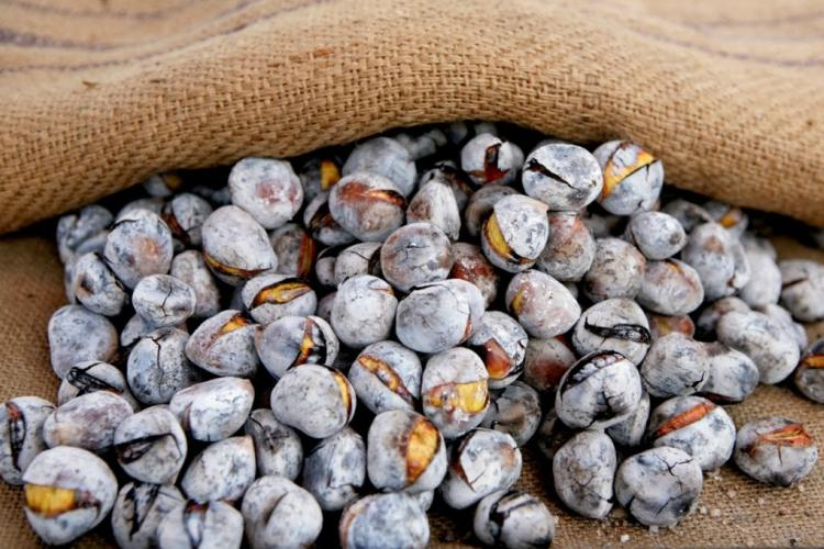 Imagem de Capa do Evento Magusto