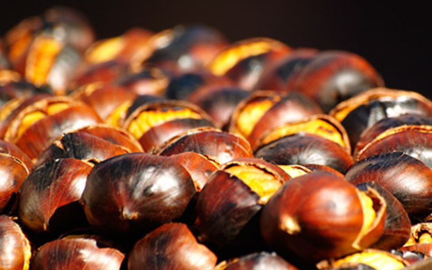 Imagem de Capa do Evento Magusto 