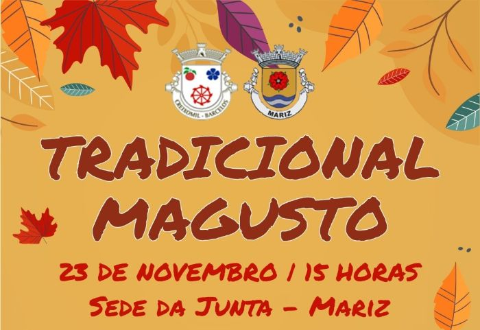Imagem de Capa do Evento Magusto Tradicional 
