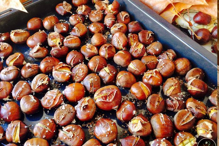 Imagem de Capa do Evento Magusto S. Martinho 