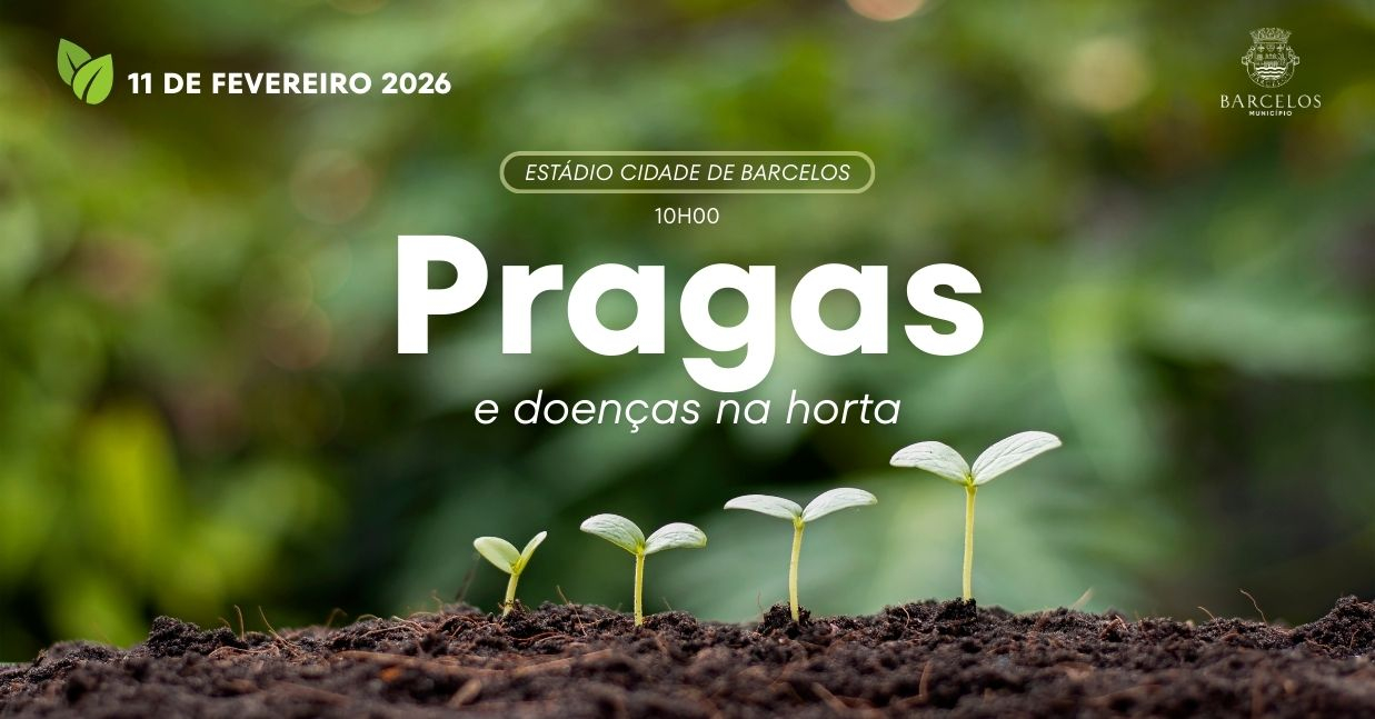 Imagem de Capa do Evento Formação 