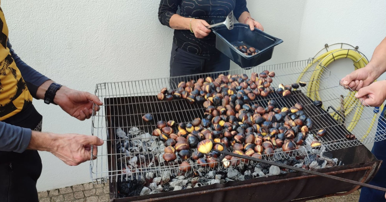 Imagem de Capa do Evento Caminhada de São Martinho