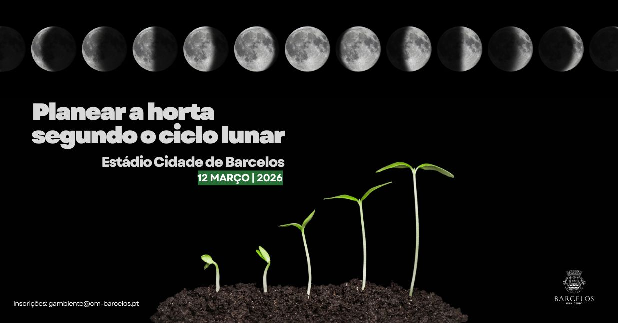 Imagem de Capa do Evento Formação 