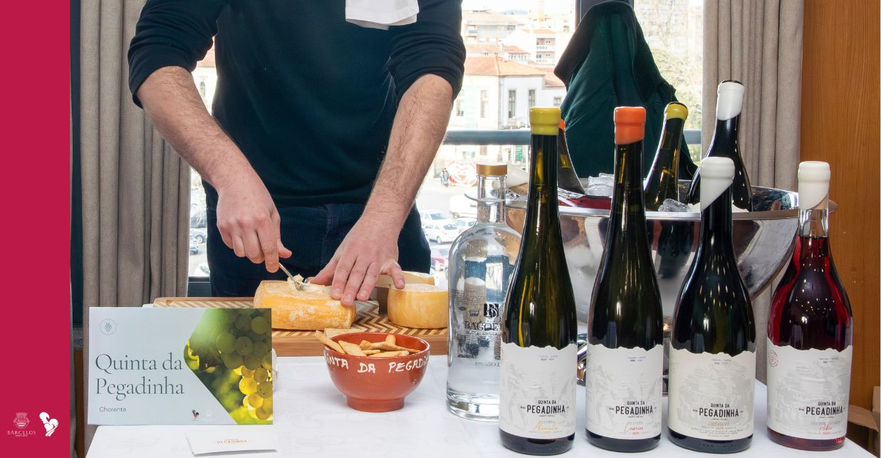 Imagem de Capa do Evento Rota do Vinho e da Vinha