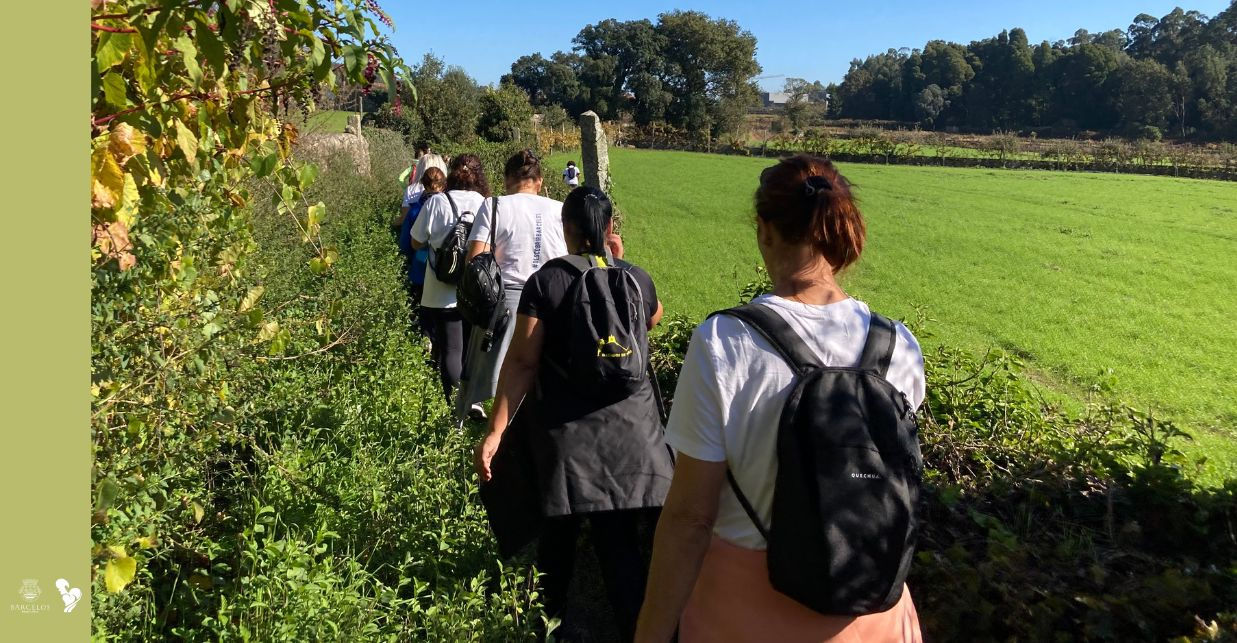 Imagem de Capa do Evento Caminhar para conhecer Barcelos | À descoberta do mundo Rural 