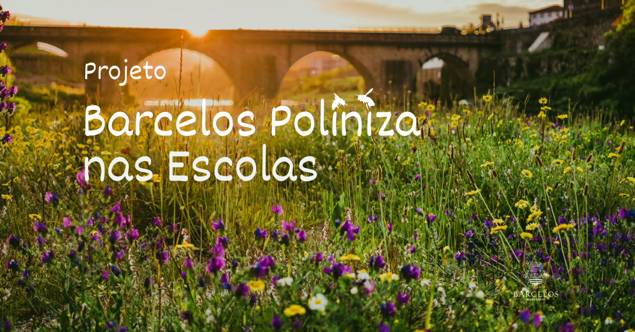Imagem de Capa do Evento BARCELOS POLINIZA - NAS ESCOLAS