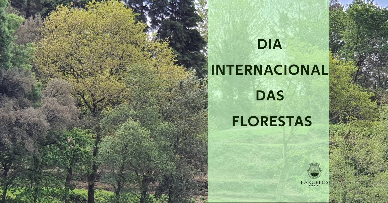 Imagem de Capa do Evento DIA INTERNACIONAL DA FLORESTA