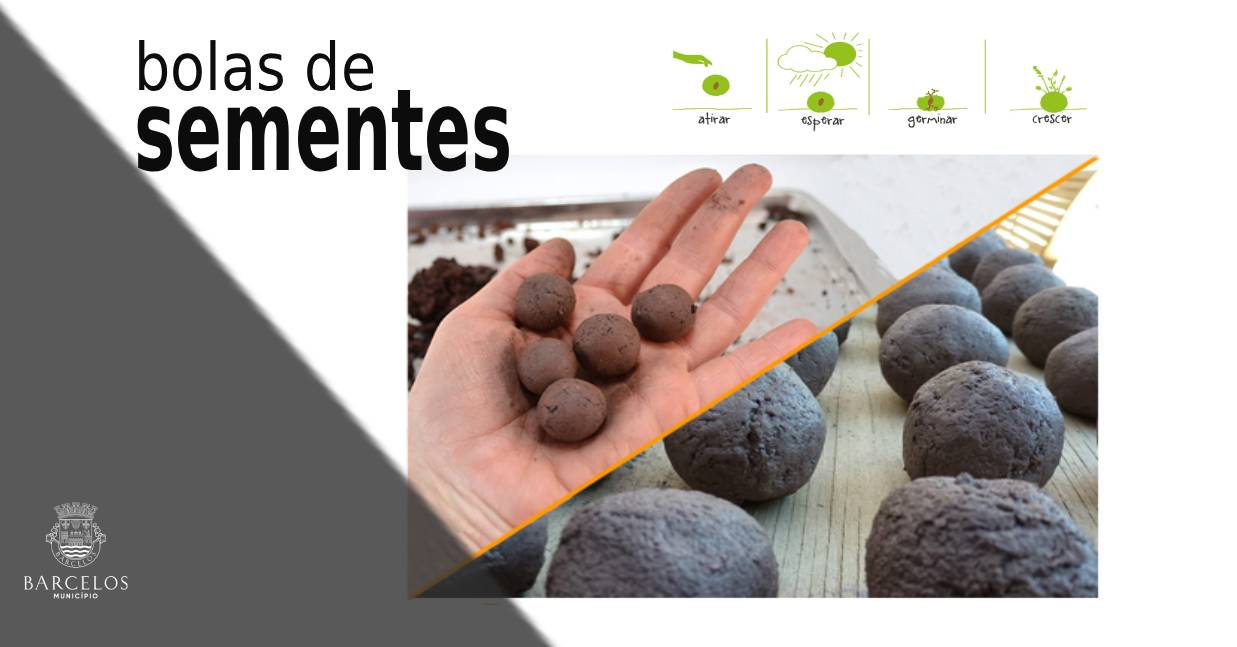 Imagem de Capa do Evento WORKSHOP BOLAS DE SEMENTES