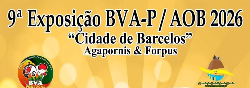 Imagem de Capa do Evento 𝟗.ª 𝐄𝐱𝐩𝐨𝐬𝐢𝐜̧𝐚̃𝐨 𝐁𝐕𝐀-𝐏 / 𝐀𝐎𝐁 𝟐𝟎𝟐𝟔 – “𝐂𝐢𝐝𝐚𝐝𝐞 𝐝𝐞 𝐁𝐚𝐫𝐜𝐞𝐥𝐨𝐬