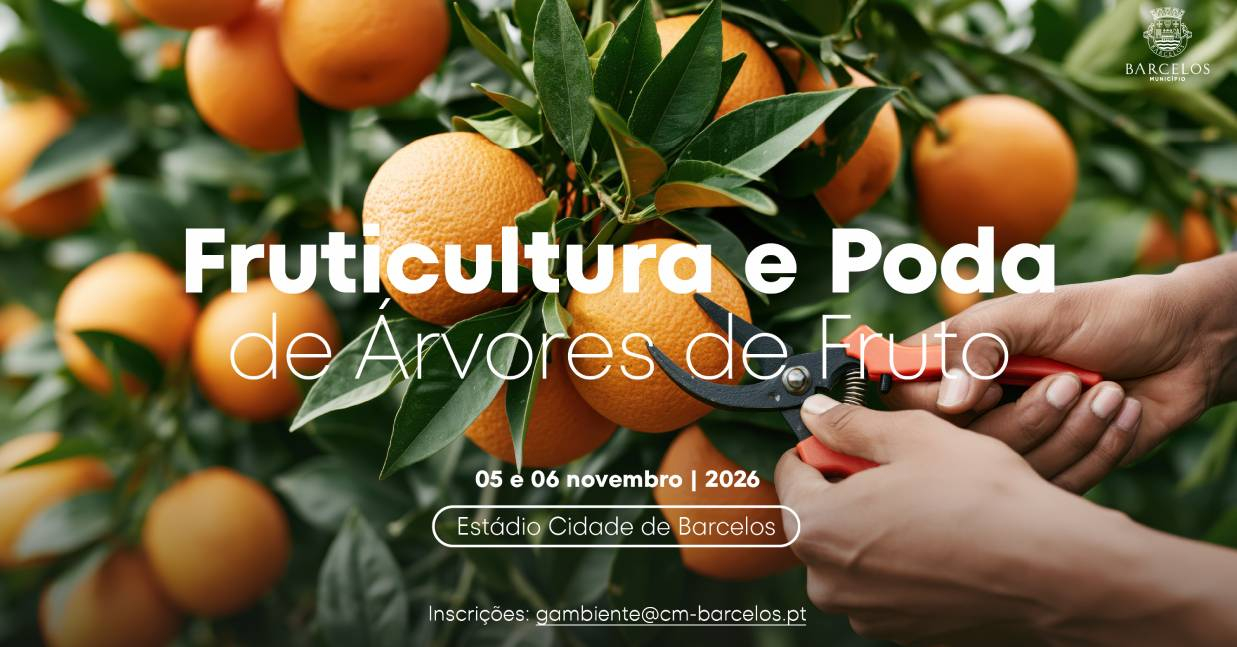 Imagem de Capa do Evento Formação 