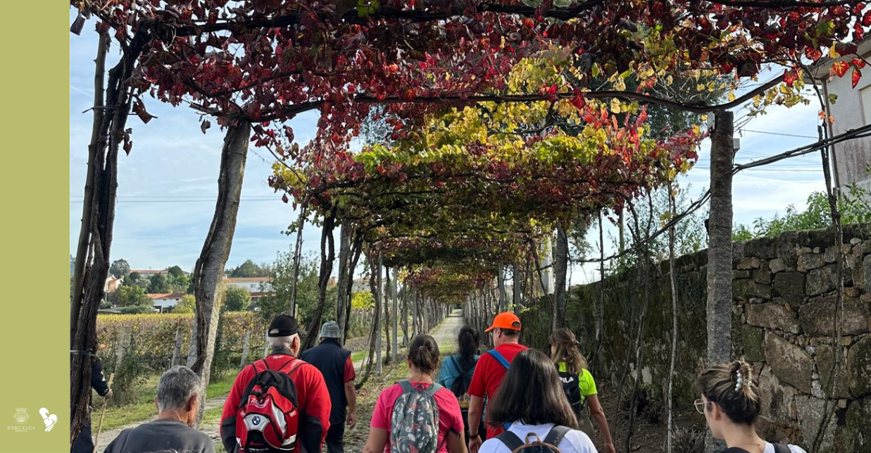 Imagem de Capa do Evento Da vinha ao copo | Caminhar para Conhecer Barcelos