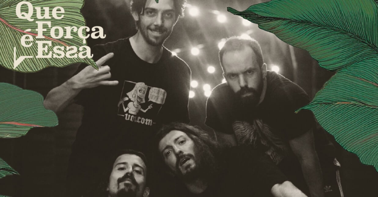 Imagem de Capa do Evento Gator, The Alligator 
